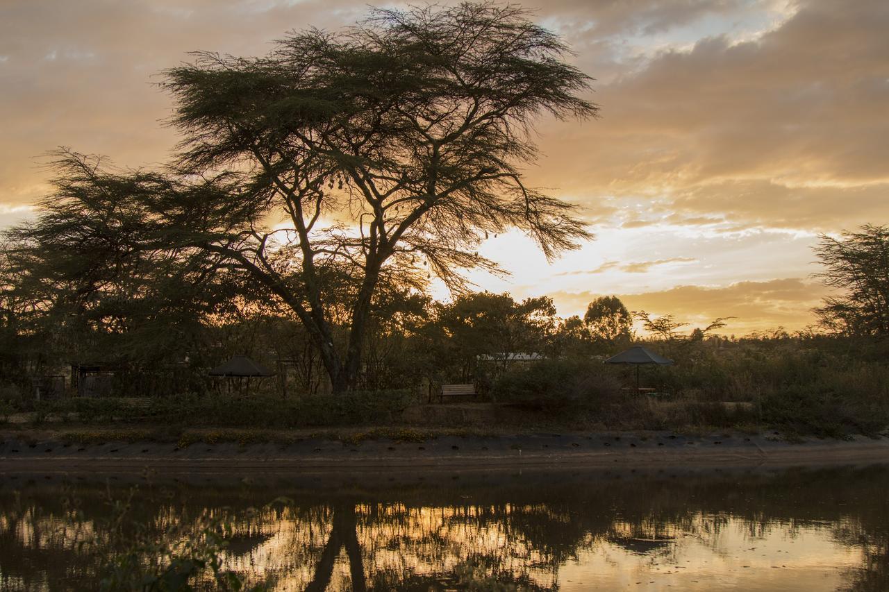 Ziwa Bush Lodge Nakuru Eksteriør billede